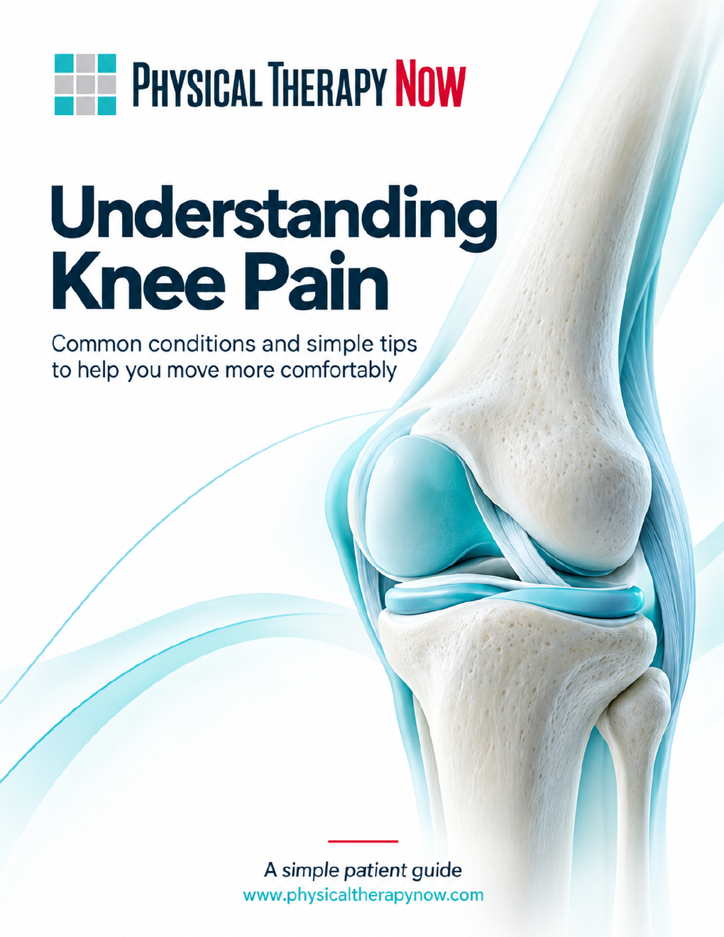 Understanding Knee Pain book cover