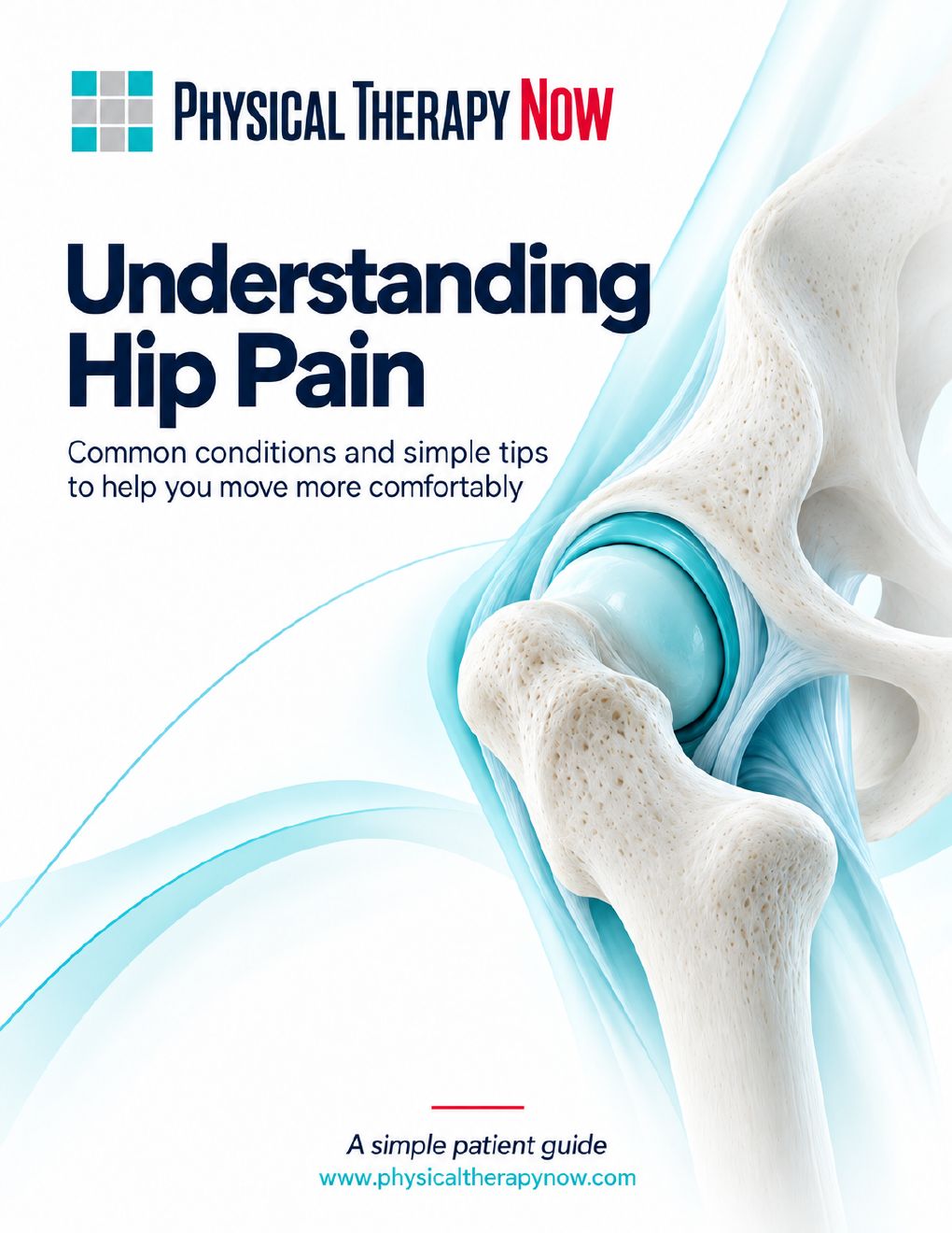 Understanding Hip Pain book cover