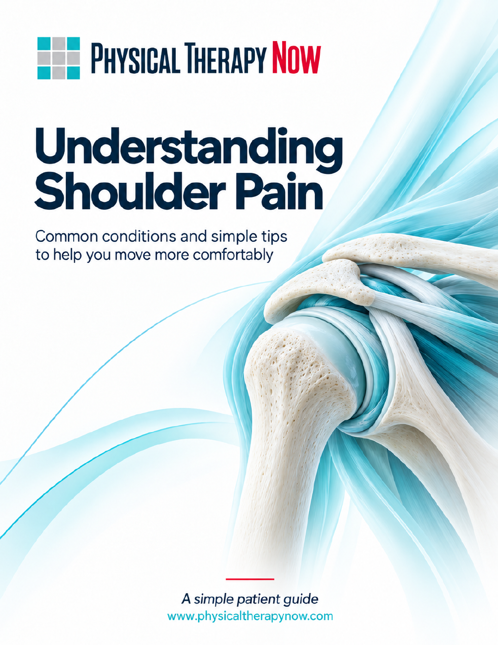 Understanding Shoulder Pain book cover
