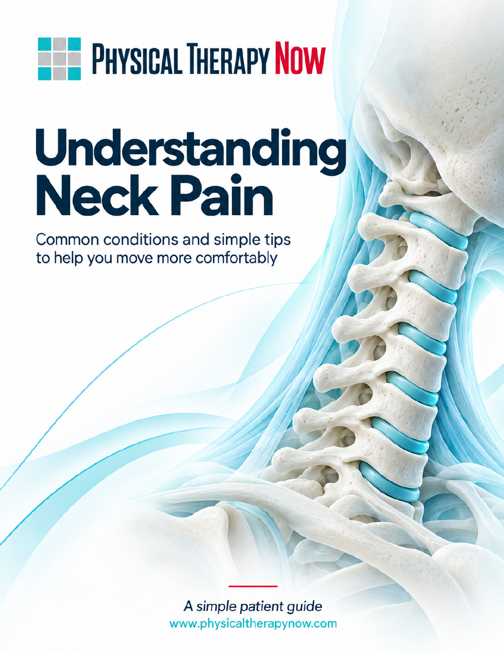 Understanding Neck Pain book cover